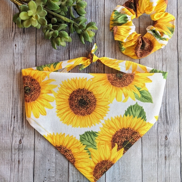SUNFLOWER 🌻 Dog Bandana with Hair Scrunchie! - Picture 6 of 11
